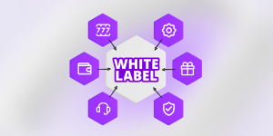 White Label Online Casino Solution for iGaming Operators in 2026