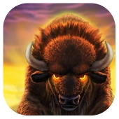 Buffalo Blitz